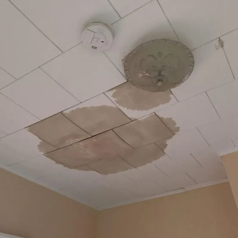 Ceiling Water Damage Repair in Glendale, WI