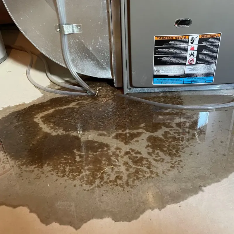 Pipe Burst and Leak Restoration in Glendale, WI